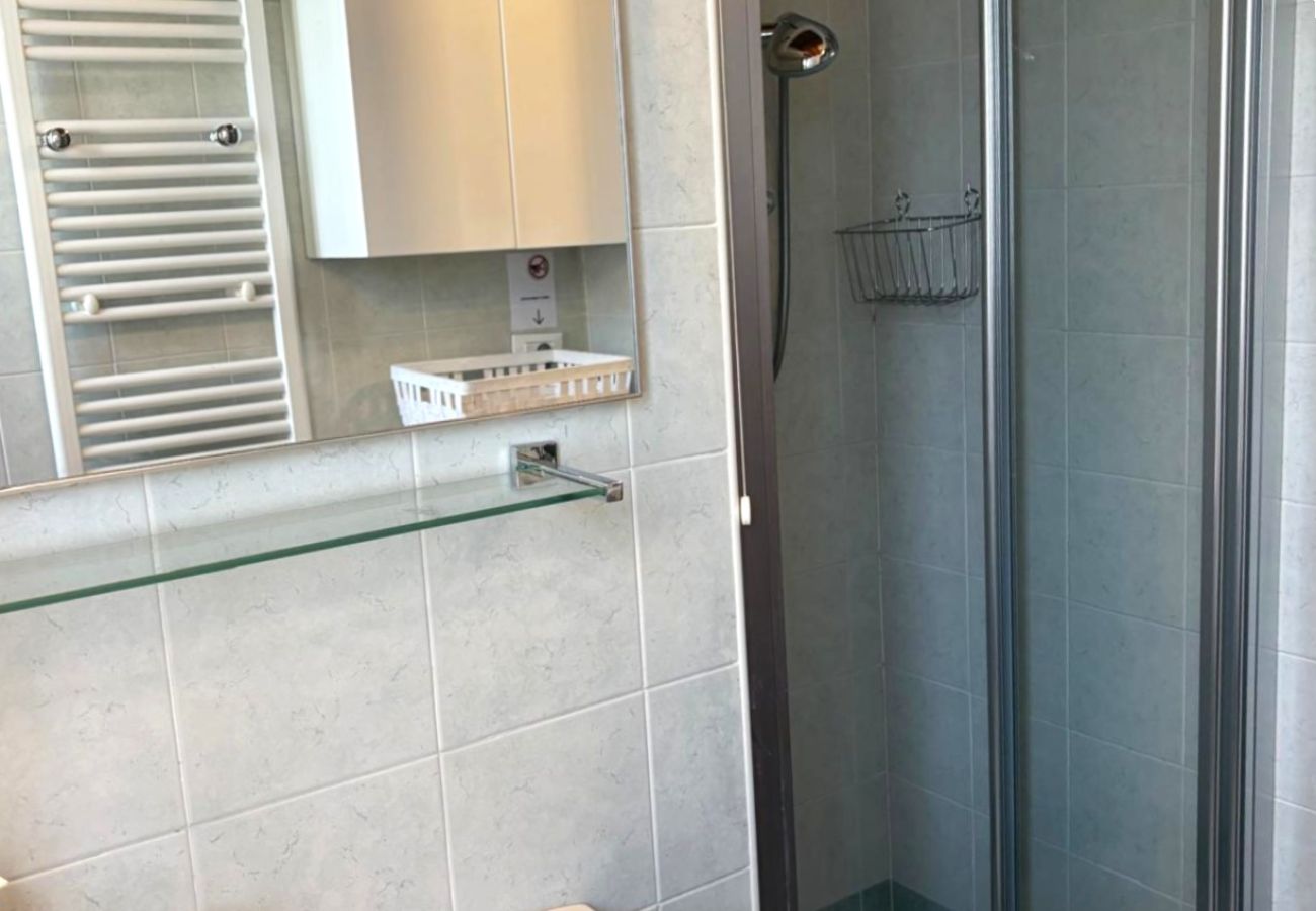 Apartment in Manerba del Garda - Ulivo Apartment