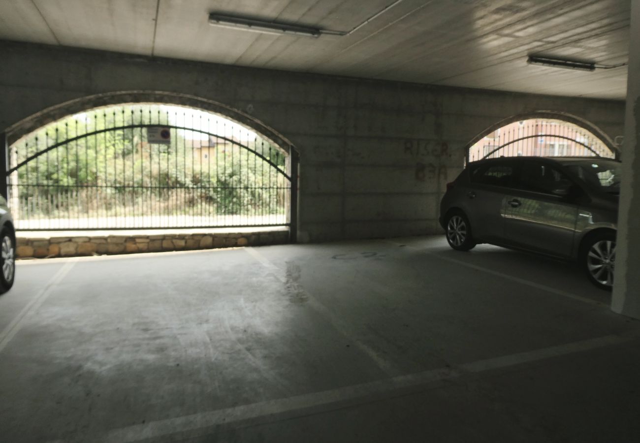 Apartment in Manerba del Garda - Ulivo Apartment